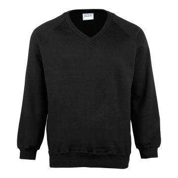 Coloursure™ v-neck sweatshirt